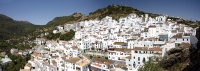 Casares