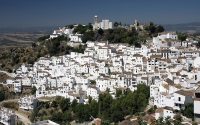 Casares