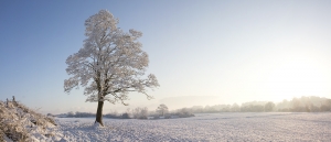 Snowy landscape in Leighlinbridge