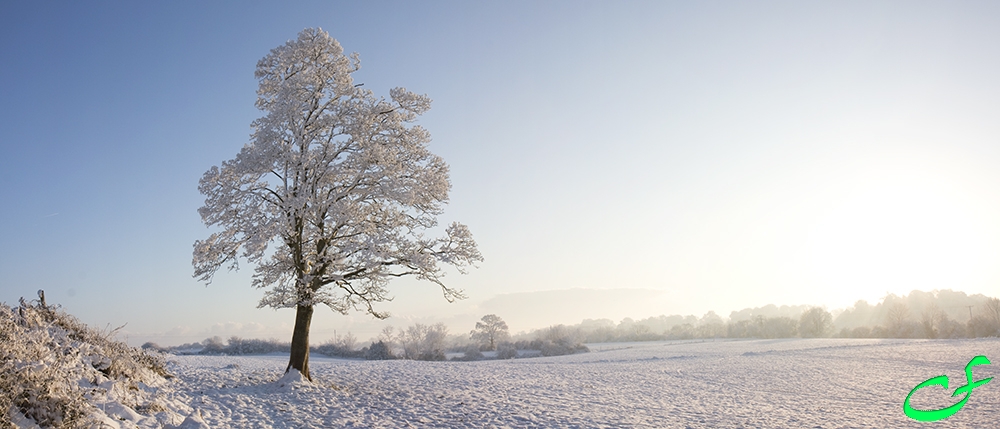 Snowy landscape in Leighlinbridge