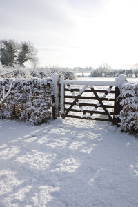 Gate in the snow in Gowran