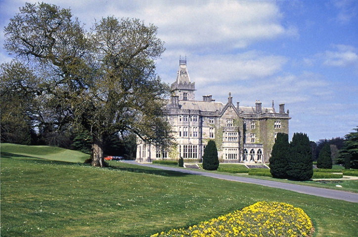 Adare Castle - Co. Limerick