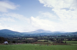 Irish Countryside