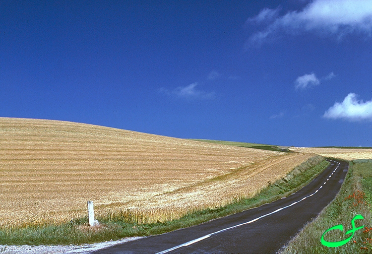 Coast - Pas-de-Calais