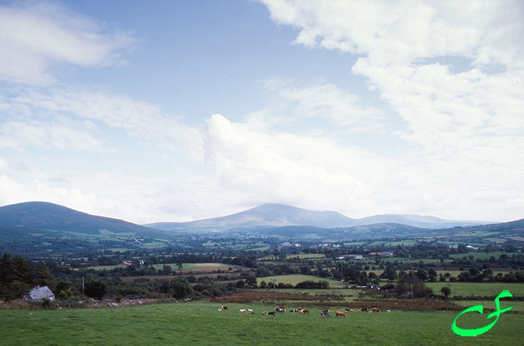 Irish Countryside