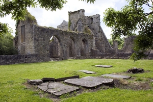 Priory of Kells - Co. Kilkenny