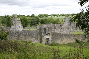 Priory of Kells - Co. Kilkenny