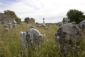 Monastic Site - Tullaherin - Co. Kilkenny