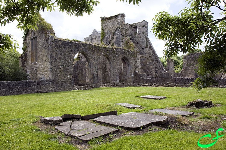 Priory of Kells - Co. Kilkenny