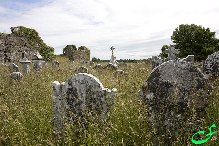 Monastic Site - Tullaherin - Co. Kilkenny