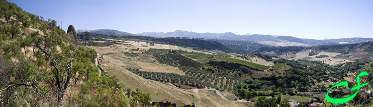 Ronda Countryside