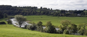 River Nore near Thomastown