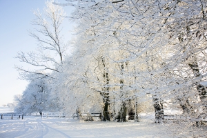 Glen Lodge in the snow