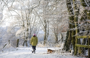 Anna and Alfie walking in the snow in Leighlinbridge