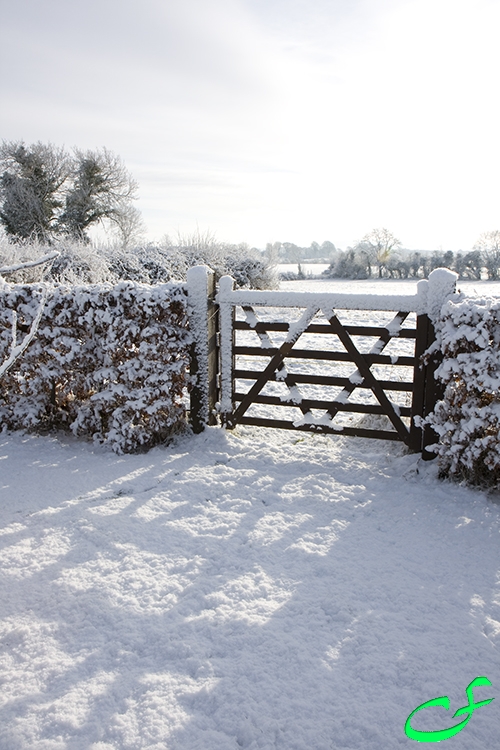 Gate in the snow in Gowran