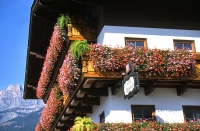 Flowered Guest house balcony in Tyrol