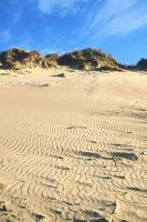 Dunes, Pas-de-Calais