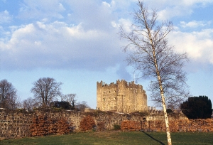 Kilkea Castle, Co. Kildare