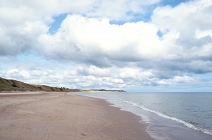 Co. Wexford beach