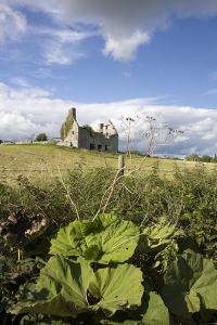 Ruins of old house in Co. Carlow