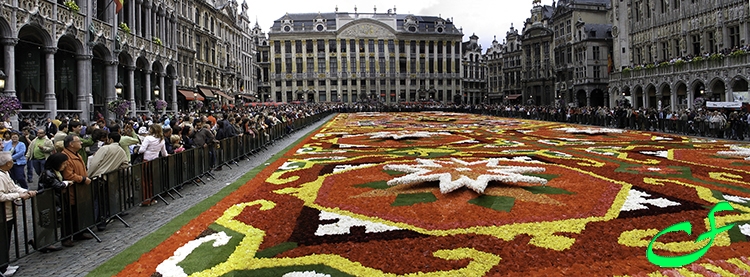 Brussels - Grand Place - Flower carpet