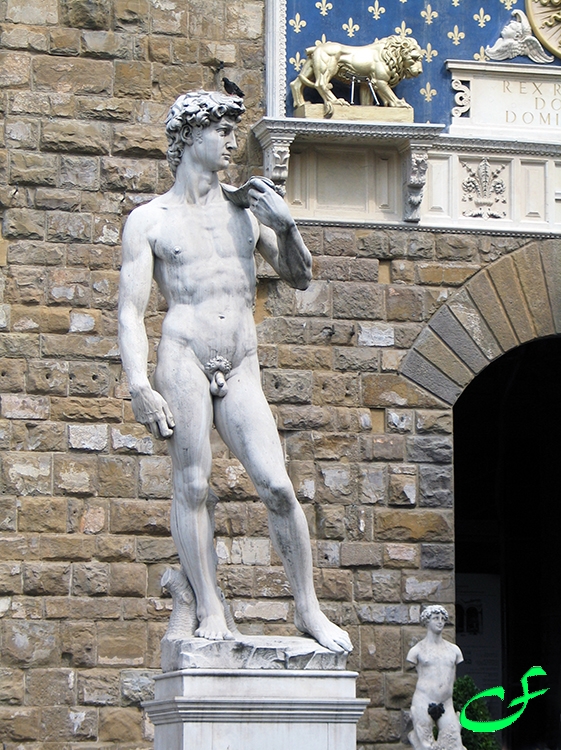 Michelangelo's David - Florence